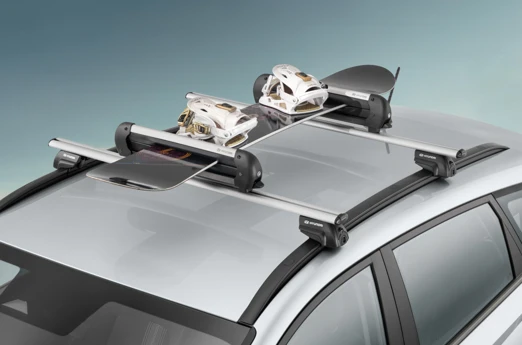 BAYON Ski & Snowboardträger